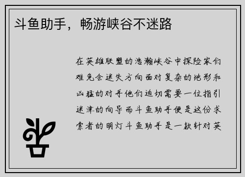 斗鱼助手，畅游峡谷不迷路
